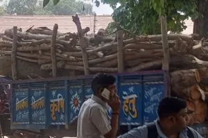 बदायूं: अवैध कटान रोकने को वन विभाग का अभियान शुरू, पहले दिन मिली बड़ी सफलता