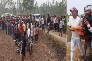 लखीमपुर खीरी: बाघ की दहशत से ग्रामीण फिर खौफजदा...हमला कर दो को किया घायल