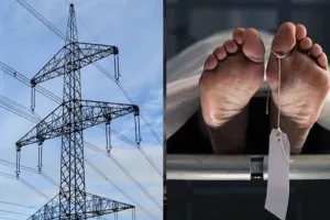 संभल: मक्का के खेत पर HT लाइन टूटकर गिरी...झुलसकर महिला की मौत