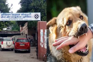 UP NEWS: परेशान मरीज... मौज में CHC कर्मी, एंटी रैबीज वैक्सीन के लिए मरीजों को भटका रहे स्वास्थ्य कर्मचारी, भेज रहे जिला अस्पताल