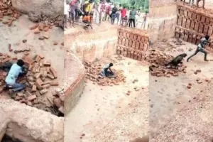 Lakhimpur kheri: तेंदुए से भिड़ा युवक, देखें जान बचाने के संघर्ष की वीडियो, हमले में पांच लोग घायल