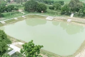 UP News: 16 हजार से अधिक अमृत सरोवर तैयार, टॉप फाइव में यूपी के ये जिले
