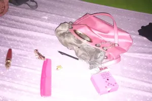 लखीमपुर खीरी : नई बस्ती खकरा में चोरों ने फिर बोला धावा, चुरा ले गए जेवर