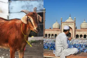 रामपुर : श्मशान घाट में बकरीद के दौरान मांस के टुकड़े पड़े देख आक्रोश