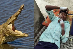 लखीमपुर खीरी : किशोर पर मगरमच्छ ने किया हमला, घायल