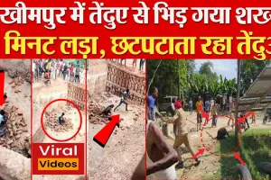 Lakhimpur Kheri News | लखीमपुर में तेंदुए से भिड़ गया शख्स, 15 मिनट लड़ा, छटपटाता रहा तेंदुआ