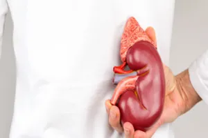 मुरादाबाद : कमजोर न समझो इन्हें, जीवन देती हैं नारियां