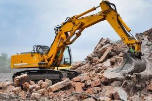 अरावली में ध्वस्तीकरण अभियान: अधिकारियों ने 10 फार्म हाउस और पांच अवैध निर्माण ढहाए 