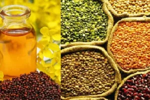 संसदीय समिति ने दालों-तिलहनों का आयात बढ़ने पर जताई चिंता, तो जानिए क्या बोली सरकार 