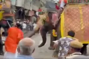 गुजरात: अहमदाबाद में रथ यात्रा के दौरान हाथी ने मचाया उत्पात, एक व्यक्ति घायल 