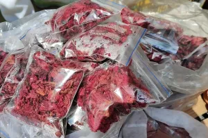 पहाड़ों में खिलने वाला बुरांश, अब अर्थव्यवस्था को खिला रहा 