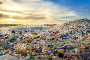 प्लास्टिक प्रदूषण रोकने का संकल्प, विश्व पर्यावरण दिवस पर राजधानी में अलग-अलग जगहों पर किया आयोजन 