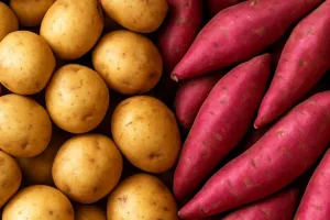 पूरे दक्षिण एशिया में आलू-शकरकंद की मांग पूरी करेगा आगरा, अंतरराष्ट्रीय आलू केंद्र की स्थापना पर कैबिनेट में मुहर