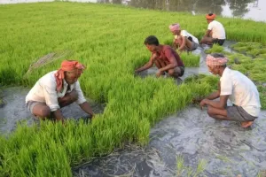 किसानों का संबल बनाएगी योगी सरकार, मुख्यमंत्री कृषक दुर्घटना कल्याण योजना की शुरुआत 