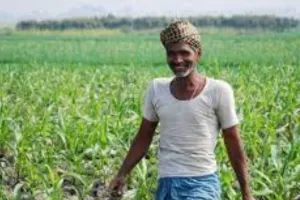 अच्छे मानसून से ग्रामीण अर्थव्यवस्था में नई जान, 10-15 प्रतिशत कृषि क्षेत्र में आय वृद्धि की उम्मीद