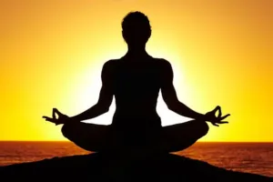 आरोग्य मंदिरों में 8.27 लाख लोगों ने बनाया रिकार्ड, अंतरराष्ट्रीय योग दिवस पर योगाभ्यास करने वालों का आंकड़ा जारी