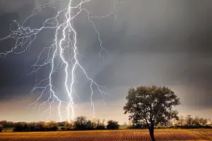 कौशांबी में गिरी आकाशीय बिजली: धान की रोपाई के दौरान हुआ हादसा, दो किशोरियां गंभीर रूप से झुलसे