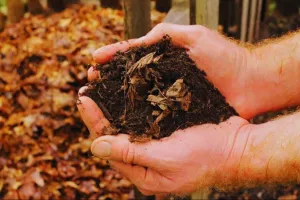 लखीमपुर खीरी: खाद के खेल का भंडाफोड़...हरदोई जिले की उर्वरक खीरी में बेची जा रही थी