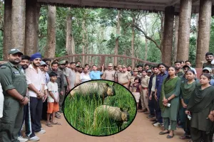 लखीमपुर खीरी: कई खट्टी- मीठी यादों के साथ दुधवा का पर्यटन सत्र समाप्त