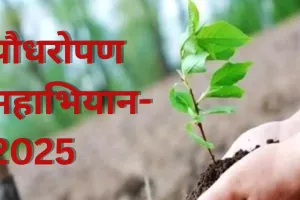 वन विभाग सड़कों के किनारे लगाएगा 1.14 करोड़ पौधे, एक्सप्रेसवे के किनारे UPDA लगाएगा 2.50 लाख पौधे