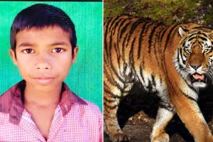 लखीमपुर खीरी: बाघ के हमले से घायल किशोर की मौत के बाद ग्रामीणों में आक्रोश