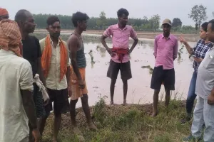 पीलीभीत: शावकों संग बाघिन दिखाई देने की सूचना पर बढ़ाई निगरानी