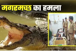 बाराबंकी में घड़ियाल का हमला : एक व्यक्ति जख्मी, जिला अस्पताल में भर्ती 