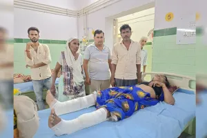 Bareilly: बंदरों के झुंड ने महिला को छत से दिया धक्का...खाली प्लाट में गिरने से घायल