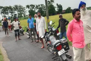 लखीमपुर खीरी: बाघिन ने घर में घुसकर किया बछिया और पड़िया का शिकार