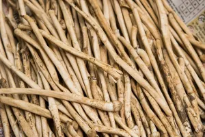 लखीमपुर खीरी : धरती का फूल पकड़ने गए रेंजर को ग्रामीणों ने बनाया बंधक, हाथापाई