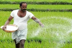 बदायूं : अधिक खाद खरीदने वाले किसानों का शासन ने मांगा ब्यौरा