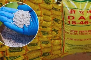 पीलीभीत: थोक विक्रेताओं ने बढ़ाए खाद के दाम और खुलती चली गईं कालाबाजारी की दुकान...शिकायत के साथ सौंपी गई ऑडियो