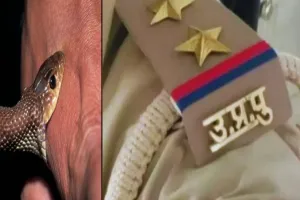 बदायूं : एनकाउंटर में नहीं तुझे सांप से डसवाकर मरवा दूंगा-बदायूं पुलिस पर गंभीर आरोप लगाते हुए कोर्ट पहुंचा युवक 