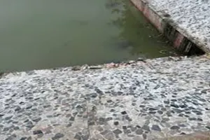 लखनऊ: बुद्धेश्वर मंदिर के सीता सरोवर में डाला जहर, कई क्विंटल मछलियां मरी, लोगों ने किया हंगामा