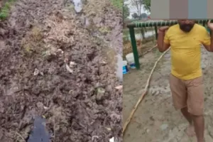  कीचड़ युक्त सड़क: चारपाई बनी स्ट्रेचर, गर्भवती महिला को 1 किमी. कंधे पर ले गए परिजन, नवजात की मौत 