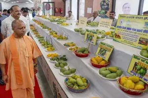 UP Mango Festival 2025: CM योगी ने आम महोत्सव का किया शुभारंभ, कंटेंनरों को दिखाई हरी झंडी