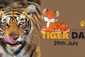 अंतर्राष्ट्रीय बाघ दिवस पर विशेष : यूपी में बाघों की संख्या में इजाफा, दूधवा टाइगर रिजर्व और कतर्नियाघाट वन्यजीव में पेट्रोलिंग ऐप से गश्त और 'बाघ मित्र' की शुरुआत 