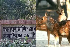 56 दिन बाद फिर खुले गोरखपुर और कानपुर के चिड़ियाघर..., शुरू हुई लोगों की एंट्री