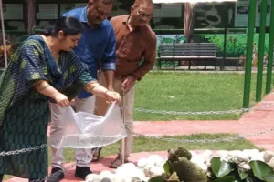 गम्बूसिया मछलियां से गुलजार हुआ चिड़ियाघर का लोटस पॉण्ड