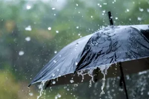 उत्तर प्रदेश में मानसून सुस्त, उमस भरी गर्मी से लोग परेशान, जानें कब होगी बारिश