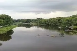 Lucknow News: गाेमती नदी के किनारे होगी खेती, भूमि सुधार कर लगाएंगे फसल, आठ परियोजनाओं के लिए जारी एक करोड़ का बजट