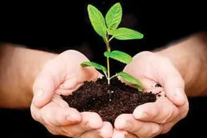 पीएचडी में प्रवेश लेने वाले विद्यार्थियों के लिये पौधा लगाना अनिवार्य, कुलपति ने शुरू किया पर्यावरण को लेकर अभिनव प्रयोग