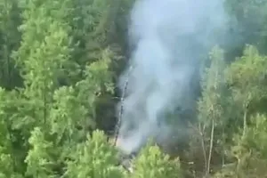 'घने जंगल के बीच बिखरा मलबा, धुएं का गुबार', 50 लोगों को लेकर रवाना हुआ रूसी विमान दुर्घटनाग्रस्त, सभी की मौत  