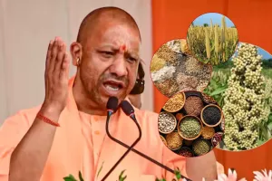 Millet Farming in UP : किसानो को प्रोत्साहित करने में जुटी योगी सरकार, अतिरिक्त लाभ के लिए बाजरा के उत्पादन को मिलेगा बढ़ावा 