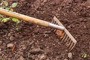 खेतों की मिट्टी बीमार, 84 फीसदी तक कम मिला ऑर्गेनिक कार्बन: किसान प्राकृतिक तरीके से पोषक तत्वों में करेंगे सुधार