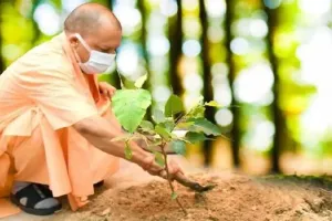 Plantation Campaign : हरियाली की ओर बढ़ा उत्तर प्रदेश, सीएम योगी के नेतृत्व में जनआंदोलन बना अभियान 