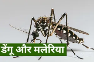 डेंगू-मलेरिया की रोकथाम के लिए चलेगा प्रचार अभियान, PA system के माध्यम से बचाव के लिए किया जाएगा जागरूक