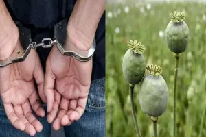 बदायूं: मादक पदार्थ तस्करी का आरोपी 720 ग्राम अफीम के साथ गिरफ्तार