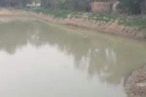 लखनऊ : अमृत सरोवरों के लिहाज से यूपी देश में नंबर वन, लक्ष्य से तीन गुना हुआ सरोवरों का निर्माण