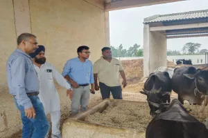 शाहजहांपुर: गोशालाओं में छह गायों की मौत के बाद निरीक्षण, जिम्मेदारों को फटकार